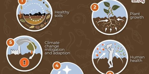 photo courtesy of Food and Agriculture Organization of the United Nations