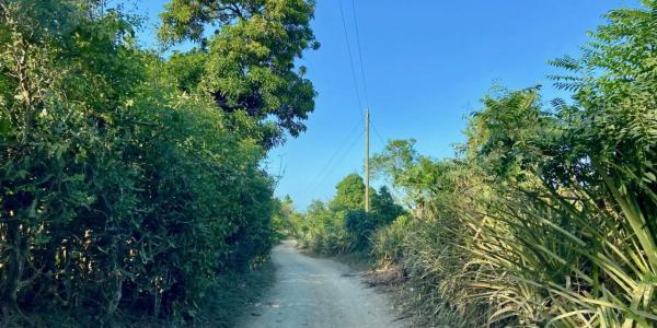 pretty Haiti