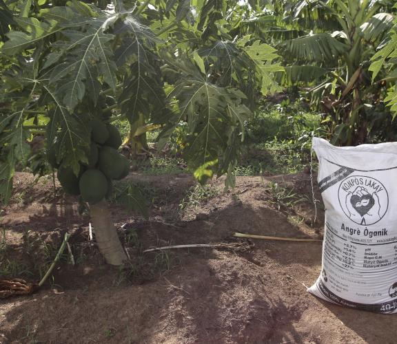 garden compost
