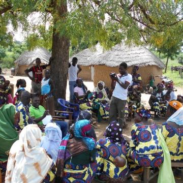 Bobo in Benin