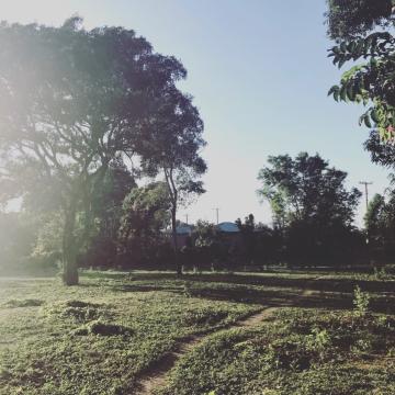 Haiti countryside