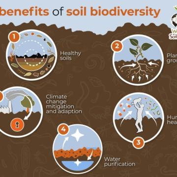 photo courtesy of Food and Agriculture Organization of the United Nations