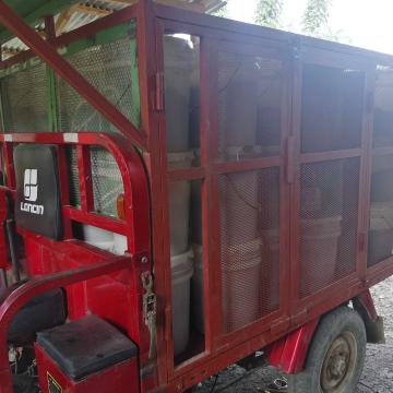 SOIL's collection bed