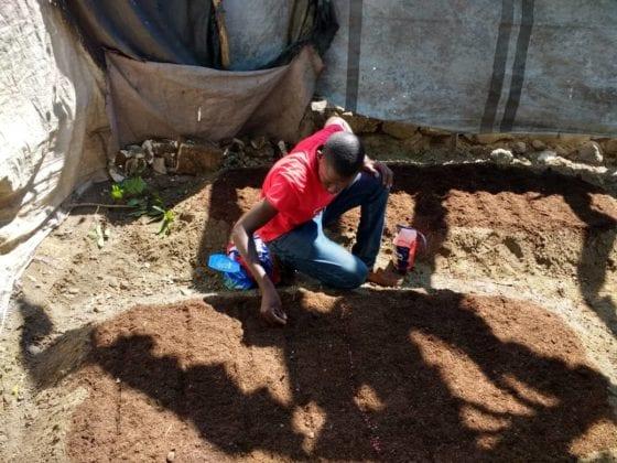 compost