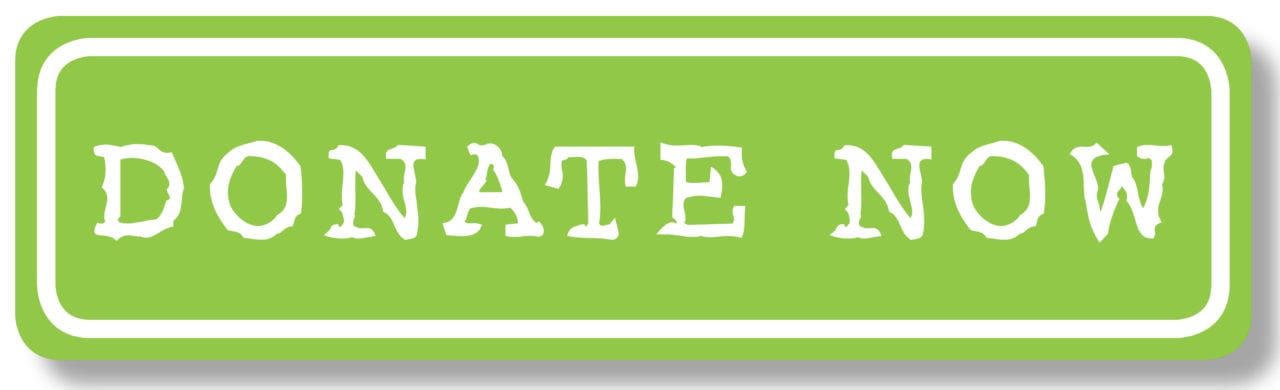 DONATE button